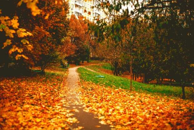 Сегодня мы поговорим про экономические перспективы России, а также сделаем некоторые выводы по фондовому рынку
