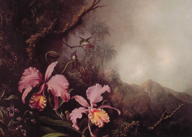 File:Martin Johnson Heade - Two Orchids in a mountain Landscape.jpg