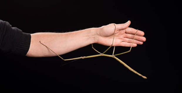 0714cde896580c436e76ea45efc7a9b2