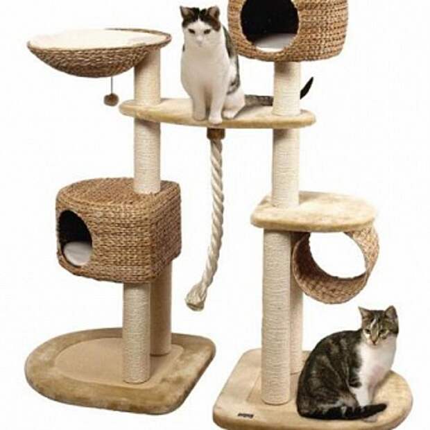 домики для кошек