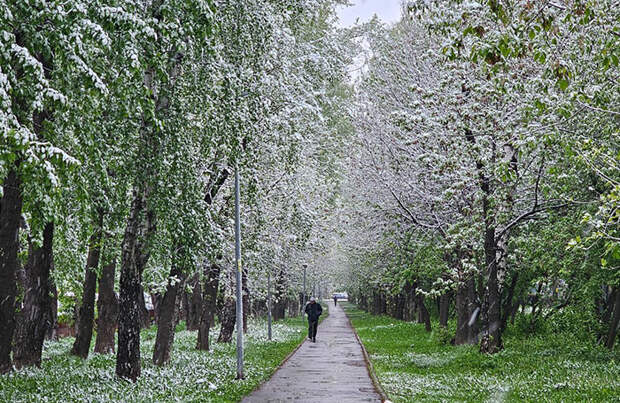 В Москве с утра идет снег с дождем