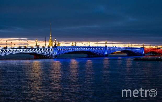 В Петербурге зажгут факелы Ростральных колонн, а Троицкий мост подсветят триколором
