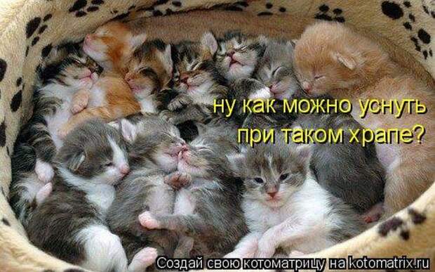 Мысли вслух :)