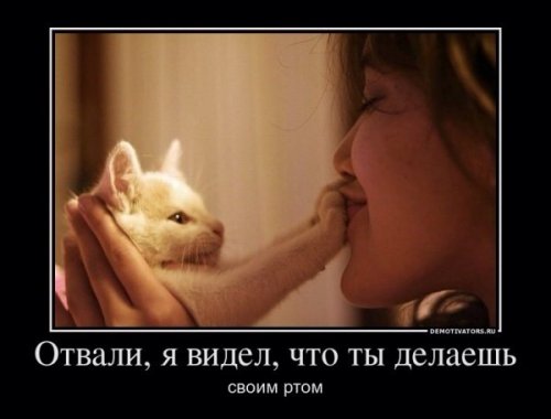 Большая порция прикольных демотиваторов (29 шт)