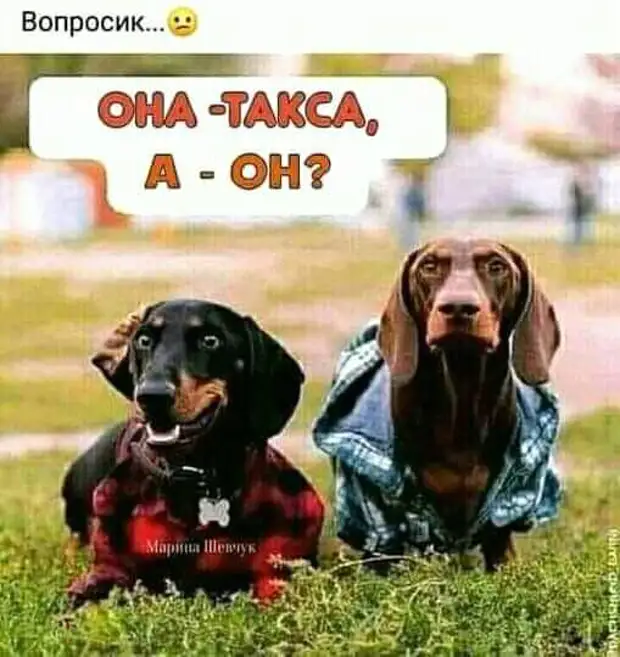 В любой организации всегда найдется человек, знающий что на самом деле происходит. Его-то и надо уволить Алжире, чтобы, Марокко, Тунисе, странно, говорить, жизнь, Капала, гадала, Рождество, прошлое, выключали, следить, Будешь, Сойдёт, знакомая, Получившаяся, дипломом, красным, закончил