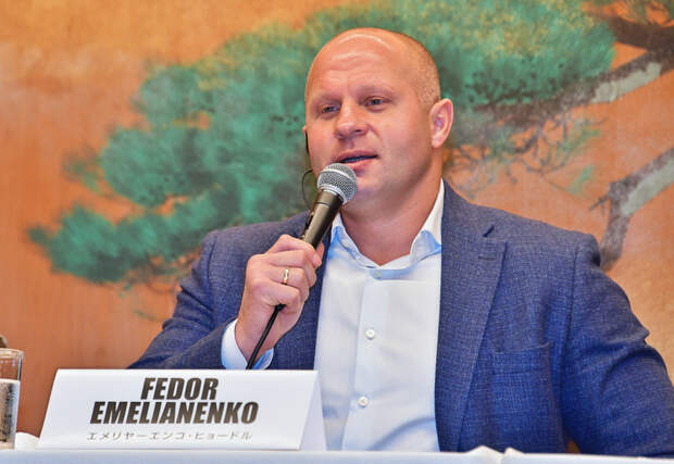 Емельяненко объяснил причины поражения в последнем бою