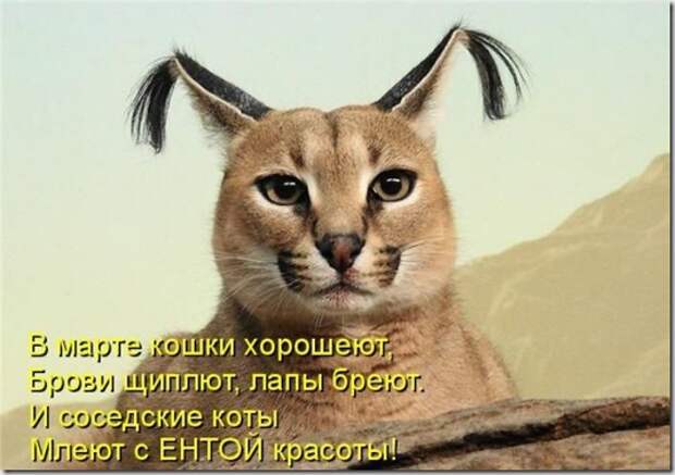 1304078163_kotomatrix_13