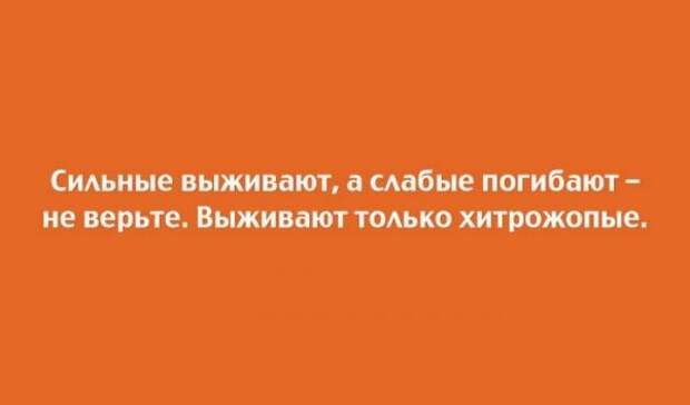 Если это не весело, значит вы делаете это неправильно! открытки, приколы, юмор
