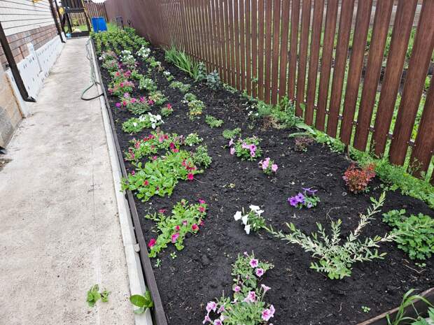 Красоты пока тут нет... А уже хотелось бы...