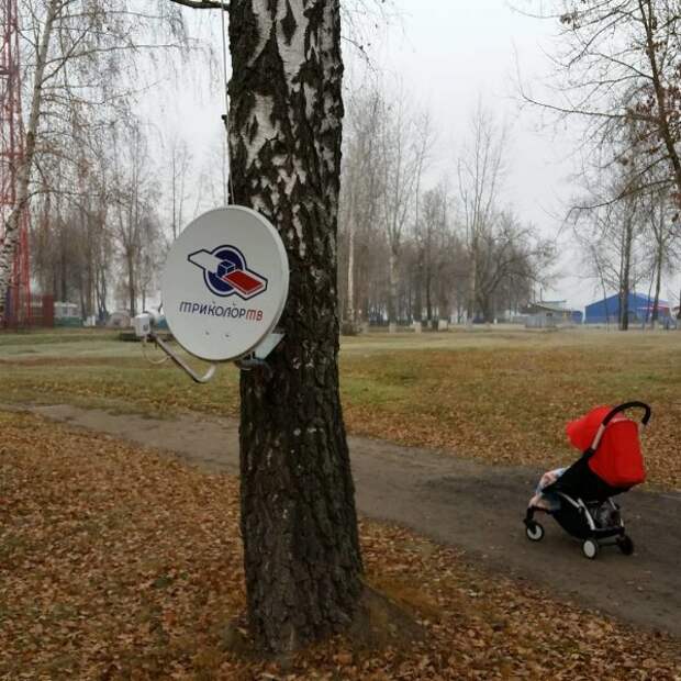 Смекалка во всех своих проявлениях