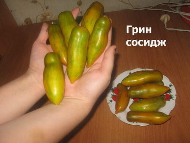 Томат сорт &#39;Green Sausage&#39; фото сайта sadik45.ru
