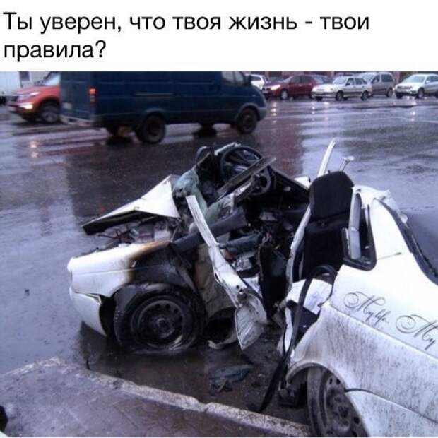 Приколы Приколы