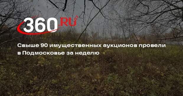 Свыше 90 имущественных аукционов провели в Подмосковье за неделю