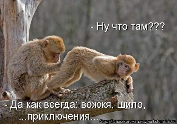 Мысли вслух :)