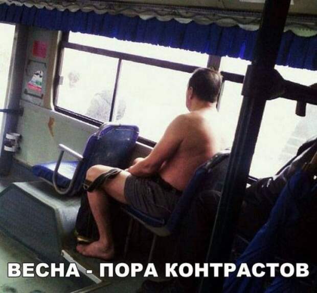 Новые прикольные фотомемы (24 шт)