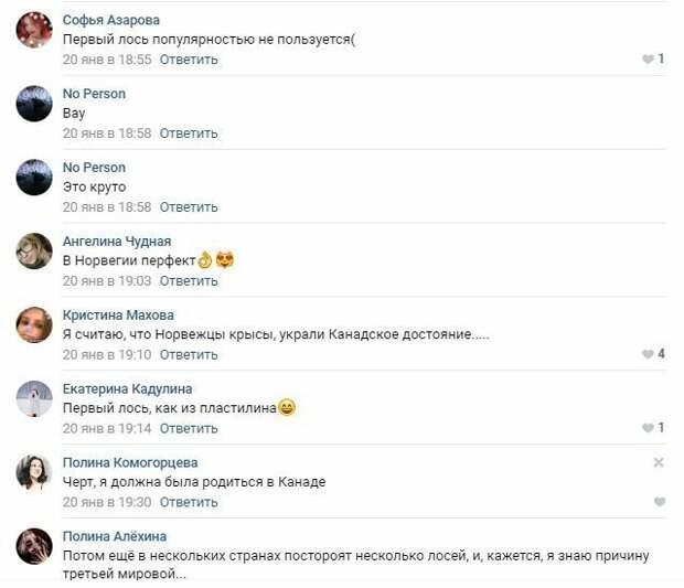 Канадцев расстроил норвежский лось, который оказался больше их собственного