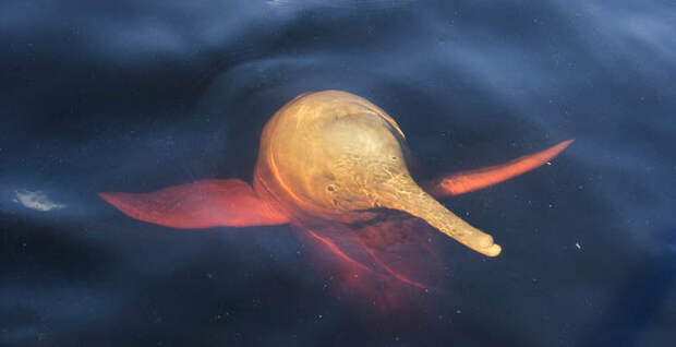 274a675114f7ee7dbbea2b3655d190df