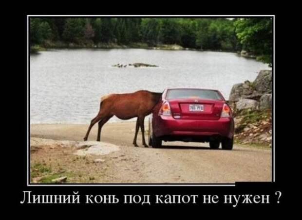 Обо всём.