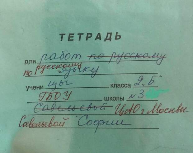 20 пометок учителей, от которых опешили мальчишки и девчонки, а также их родители