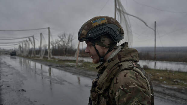 ТАСС: взвод ВСУ с колумбийским наёмником сдался в плен под Запорожьем