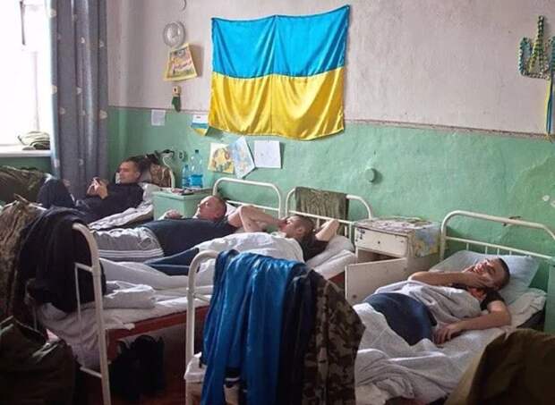 Все жители Украины с ужасом ждут обещанного киевским руководством масштабного наступления, которое неминуемо обернётся...