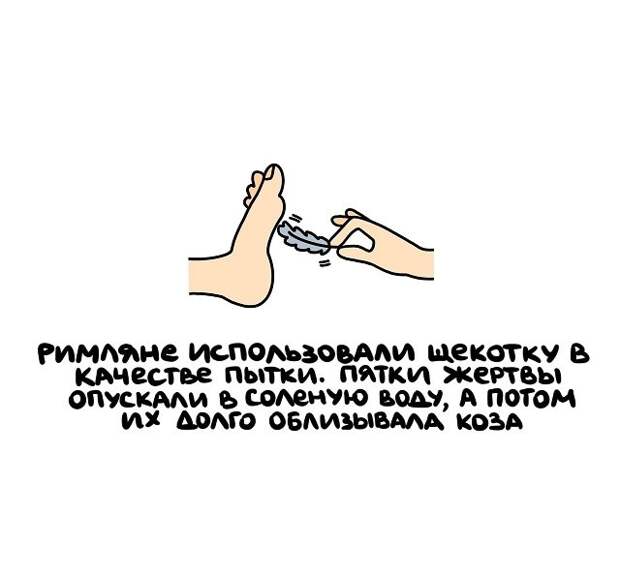 Интересные короткие факты на все случаи жизни