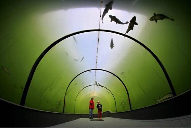 Уникальный туннель под озером в Чехии