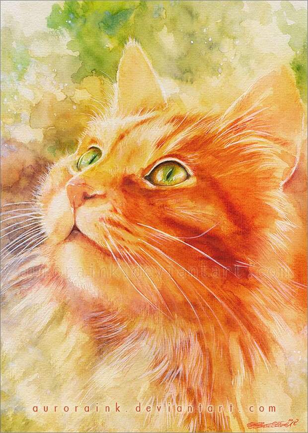 Рисунок кошка на солнце