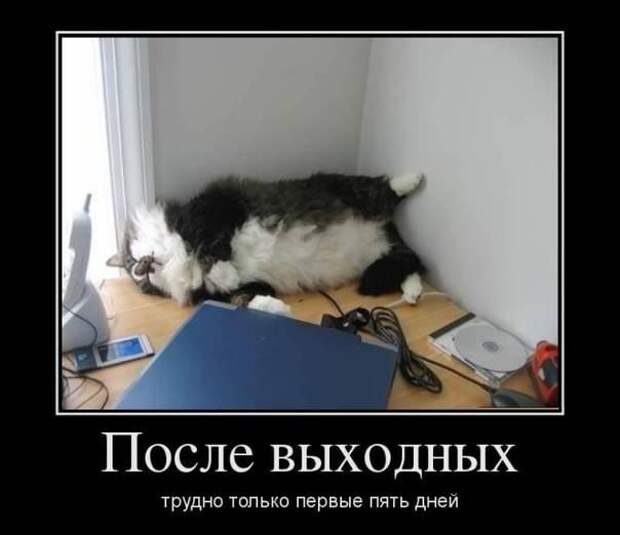 Всяко - разно 21 ))) Всяко - разно 21 )))