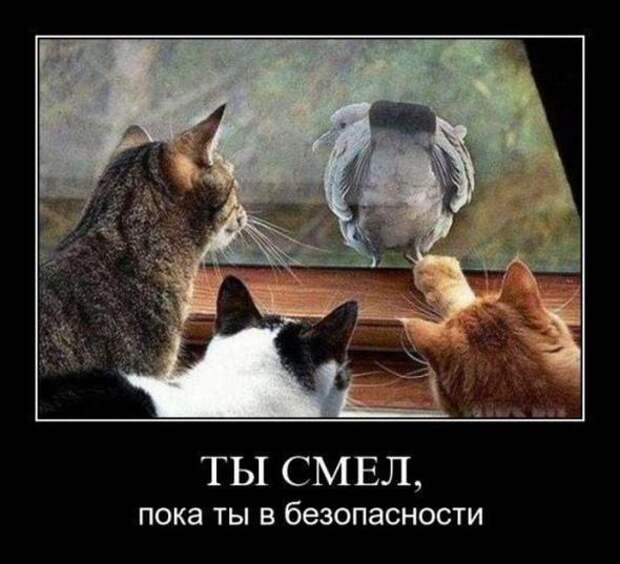 Демотиваторы со смыслом