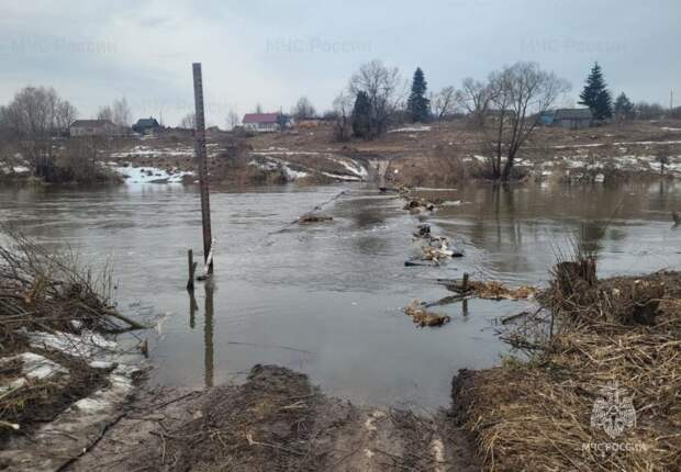 В Тульской области 29 марта затопило мост в Болотском Одоевского района