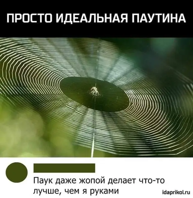 - Бабушка, а это правда, что вы живете рядом с военным училищем? - Ясен хрен! звери, говорит, Пришли, жизни, выкинул, спрашивает, Забили, Колян, гоpоскопy, Сколько, стоят, третий, вообще, сколько, следующий, решили, наконец, такого, вдруг, входит