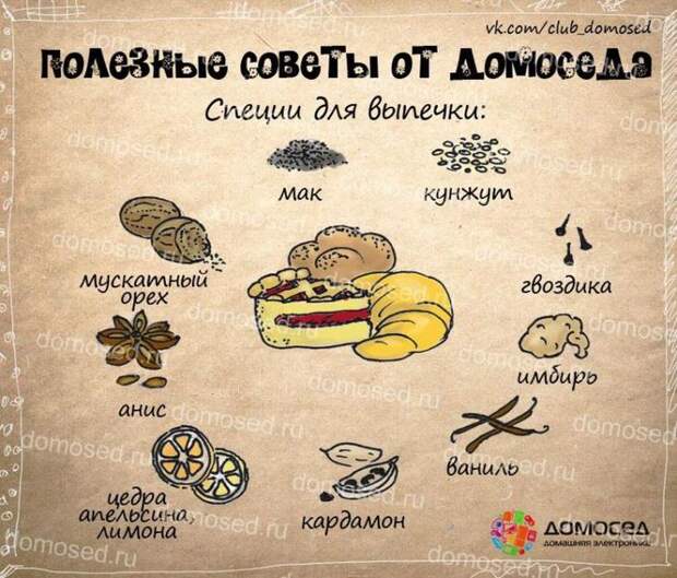 полезные советы от домоседа, полезные советы, советы на все случаи жизни