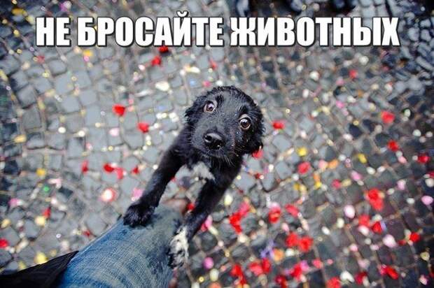 Всяко - разно 49 ))) Всяко - разно 49 )))