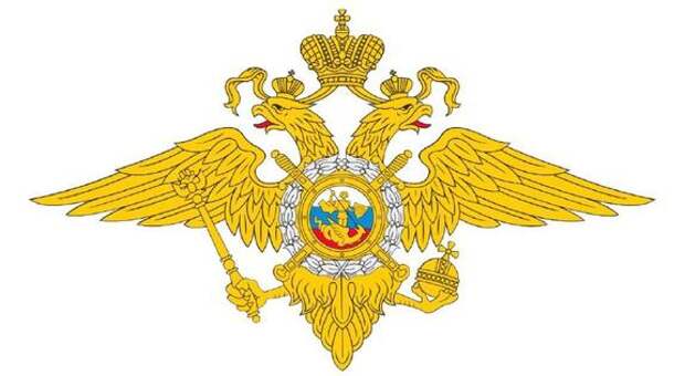 В МВД призвали не посещать несогласованные мероприятия в ближайшие выходные