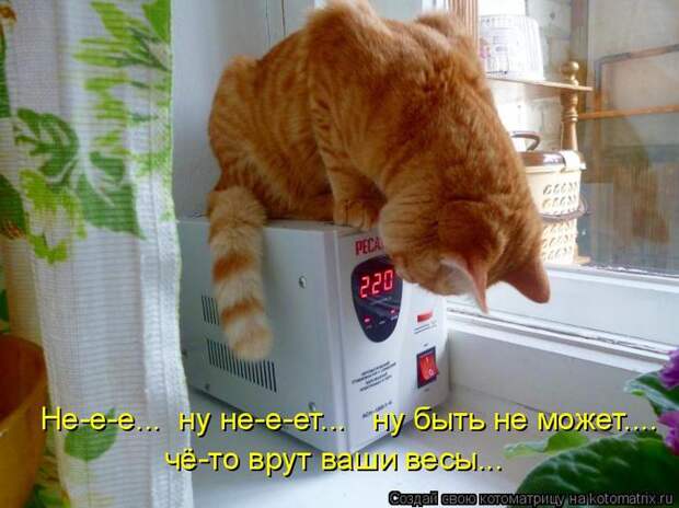 Котоматрица 26 (700x524, 55Kb)