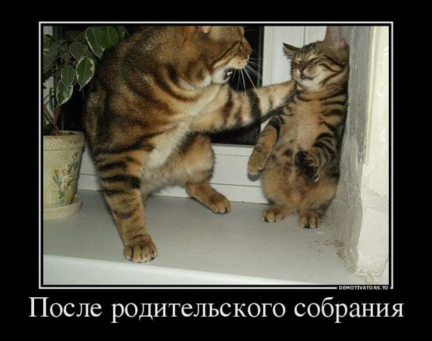 Прикольные демотиваторы для поднятия настроения (10 фото) Прикольные демотиваторы для поднятия настроения (10 фото)