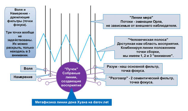 Метафизика новых видящих - учение Кастанеды