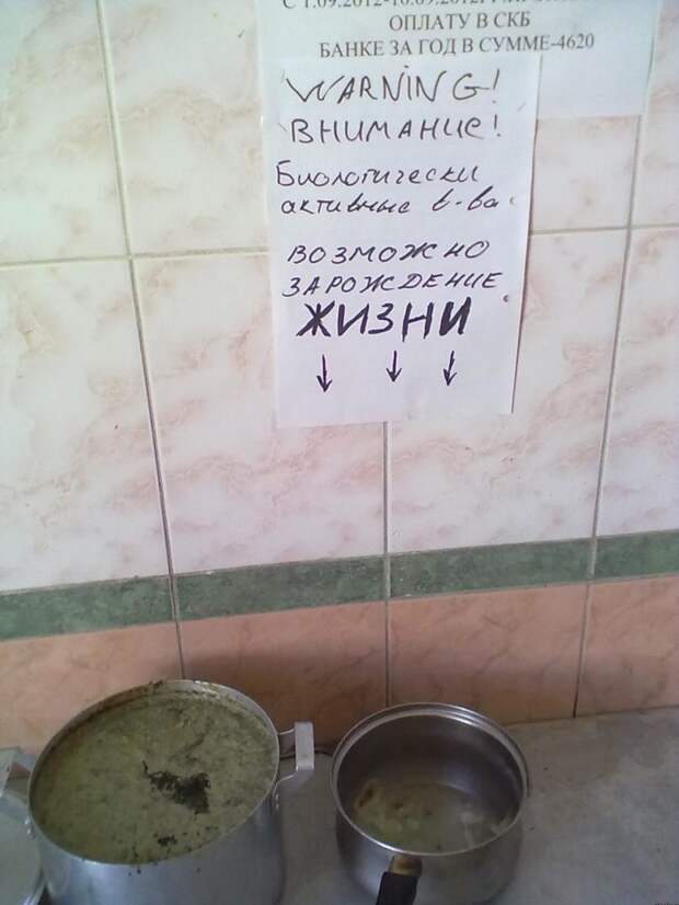 Если вовремя не вылить остатки еды...