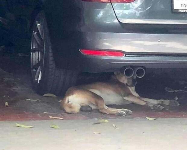 Прикольные картинки абавсём:D