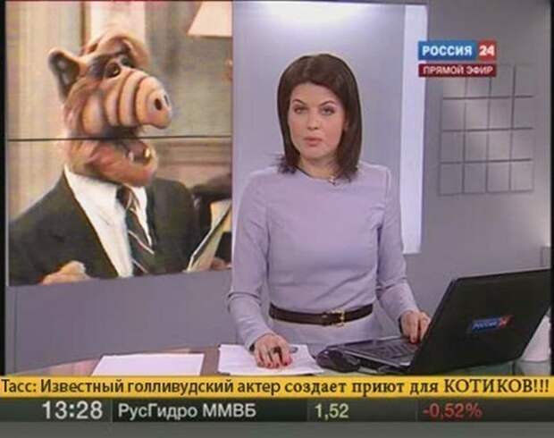 Прикольные картинки