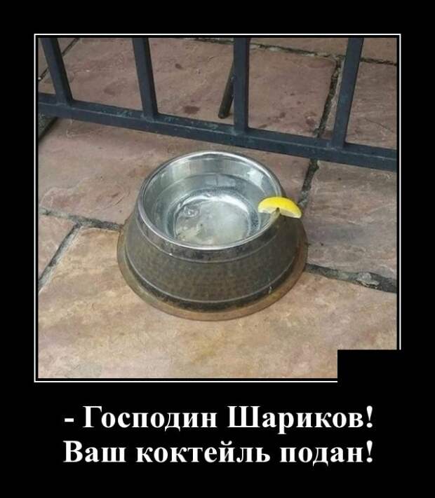 Демотиваторы (30 фото)