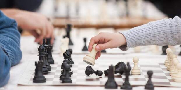 В выходные на ВДНХ впервые отметят Международный день шахмат/ Фото: mos.ru