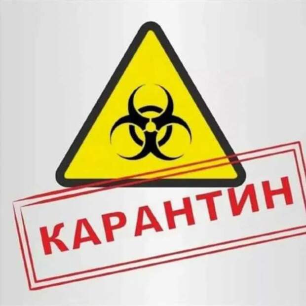 Предупреждающие таблички по коронавирусу. Подборкаchert-poberi-tablichki-koronavirus-15281230072020-4 картинка chert-poberi-tablichki-koronavirus-15281230072020-4