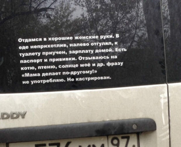 Главное, что к туалету приучен и прививки есть! Главное, что к туалету приучен и прививки есть!
