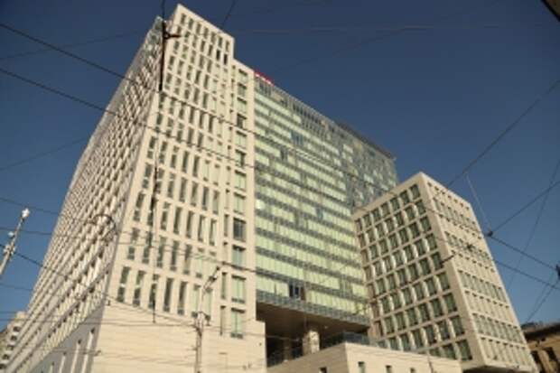 Глава ведомства поручил возбудить уголовное дело по факту нападения собак на ребенка в Омской области