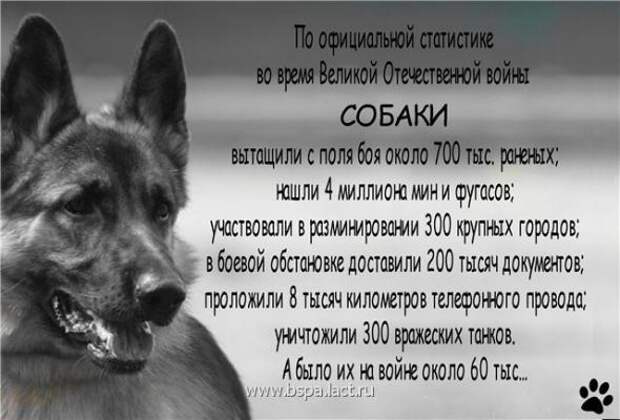 Они тоже служили Они тоже служили