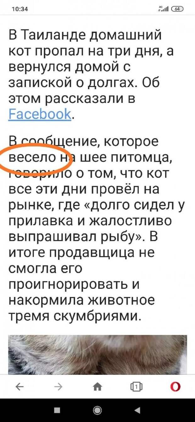Смешные и глупые ошибки в реальной жизни и социальных сетях