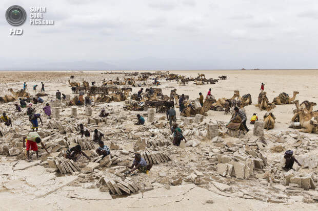 Mining the salt of the earth
