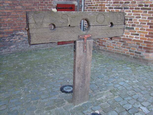 Выбор между вымиранием и стигматизацией